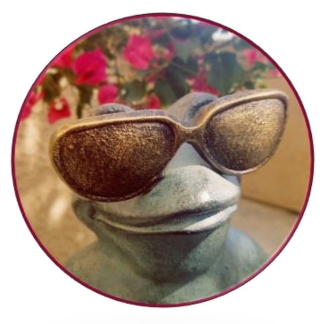 The Toad on the Road